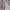 Vintage Midi dress Wanita cream photo 3