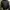 2024 Zara 100% Leather bomber jacket BNWT photo 8