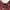Guess Luxury Coquette Bodycon Dress Wanita Multicolor