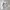 Vintage Casual Casual dress Wanita white black photo 2
