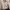 2025 Pull and bear Boxy cotton jacket BNWT photo 9