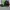 Streetwear Sportswear Hat Pria green photo 2