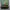 Streetwear Sportswear Hat Pria Green