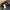 Dickies Streetwear Biker Casual shirt Pria black photo 7
