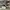 AIR JORDAN 1 TRAVIS SCOTT LOW FRAGMENT GREEN CUSTOME photo 3