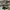 AIR JORDAN 1 TRAVIS SCOTT LOW FRAGMENT GREEN CUSTOME photo 4