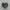 SALOMON XT6 GORE TEX photo 1