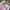 Japanese brand Luxury Lolita Cardigan Wanita multicolor photo 5