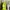 Japanese brand Luxury Lolita Cardigan Wanita multicolor photo 7
