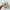 Oncloud Tilt x Loewe Cream Soft Pink photo 6