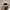 Twotone Hat VOGEL photo 5
