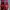 Nike Streetwear Sportswear Sneakers Pria red photo 4