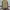 Berghaus Day Tour 24