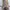 Berghaus Day Tour 24