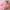 Nike Airmax TN Plus Pink Atlanta