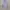 Uniqlo Parasut Lightweight Lilac Second  photo 2