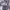 Uniqlo Parasut Lightweight AOV Grey Second  photo 8