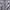 Uniqlo Parasut Lightweight AOV Grey Second  photo 5