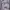 Uniqlo Parasut Lightweight AOV Grey Second  photo 6