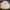 crewneck LMC full tag broken white  photo 1