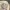crewneck LMC full tag broken white  photo 3