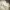 crewneck LMC full tag broken white  photo 4