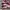 Cardigan Crop Double Tones Wanita photo 3