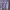 Cardigan Purple List Putih Wanita photo 2