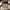 NBA chicago buls pants  photo 1
