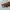 GUESS Jam Tangan Kulit Coklat Vintage photo 7