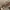 Carhartt Vintage Casual Harrington jacket Pria tan photo 5