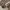Carhartt Vintage Casual Harrington jacket Pria tan photo 8