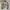 Carhartt Vintage Casual Harrington jacket Pria tan photo 7