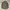 Ron Herman Vintage Casual Parka Pria green photo 8