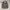 Ron Herman Vintage Casual Parka Pria green photo 3
