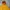 Hoodie Russell Athletic Vintage 2000s Blank Yellow  photo 3