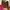 Crewneck American Apparel Fur Sweater Fuzzy photo 1