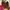 Crewneck American Apparel Fur Sweater Fuzzy