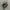 Nike P-6000 Shadow Gray photo 1