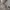 Casual Formal pants Pria cream photo 6