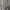 Casual Formal pants Pria cream photo 4