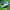 Adidas spezial ice blue  photo 1