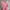Oversize baby doll Pink photo 1
