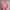 Oversize Baby Doll Pink