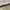 GRAMICCI LONGPANTS OLIVE photo 1