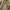 GRAMICCI LONGPANTS OLIVE photo 6