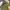 GRAMICCI LONGPANTS OLIVE photo 4
