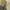 GRAMICCI LONGPANTS OLIVE photo 7