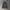 Jaket Bomber Army Camo Flowers photo 1