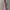 Adidas ADH1891 Candy Hot Pink  photo 5